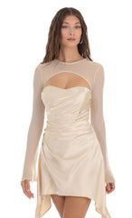 Mesh Satin Cutout Dress in Champagne