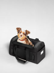 The Pet Carrier